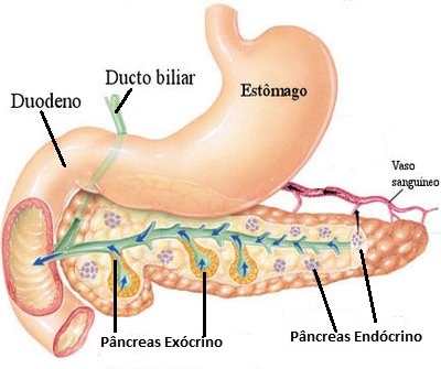 Pancreatite Aguda e Crônica
